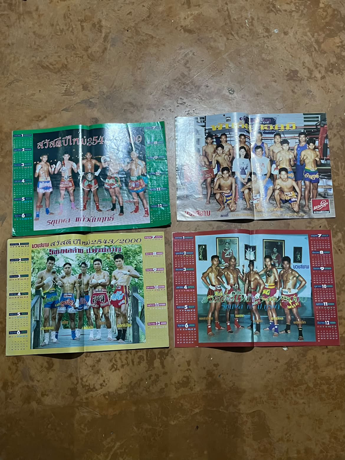 Muay Siam posters featuring fighters and an anaconda centre page